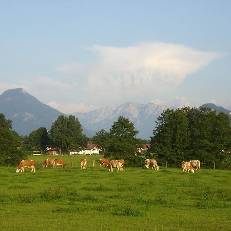 Gasthaus Kellerer راوبلِنغ المظهر الخارجي الصورة