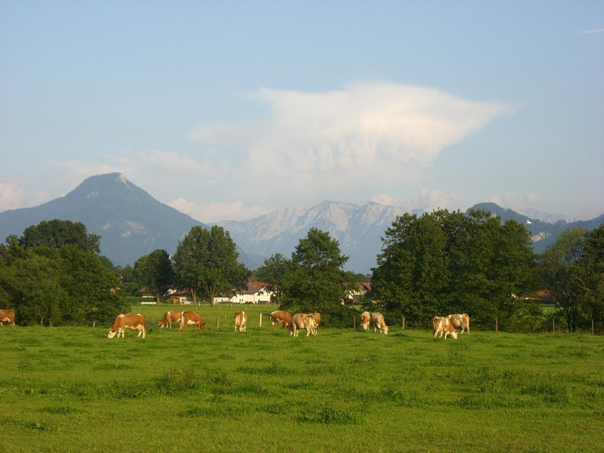Gasthaus Kellerer راوبلِنغ المظهر الخارجي الصورة